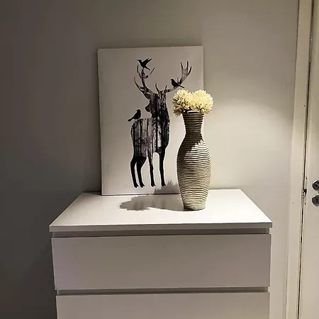 Modern Big 2 Bedroom Near Solsiden شقة تروندهايم